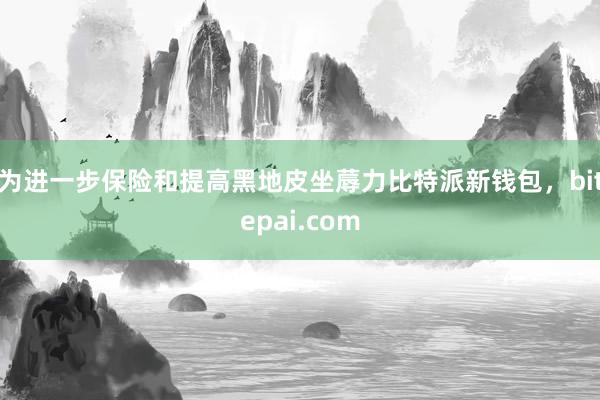 为进一步保险和提高黑地皮坐蓐力比特派新钱包，bitepai.com