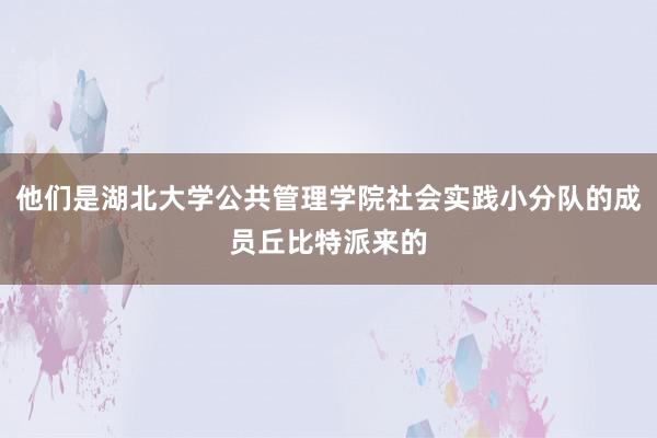 他们是湖北大学公共管理学院社会实践小分队的成员丘比特派来的