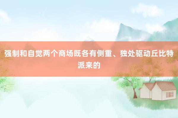 强制和自觉两个商场既各有侧重、独处驱动丘比特派来的