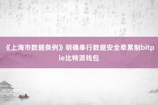 《上海市数据条例》明确奉行数据安全牵累制bitpie比特派钱包