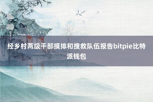 经乡村两级干部摸排和搜救队伍报告bitpie比特派钱包