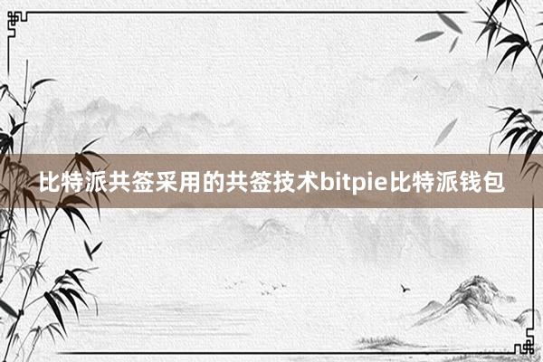 比特派共签采用的共签技术bitpie比特派钱包