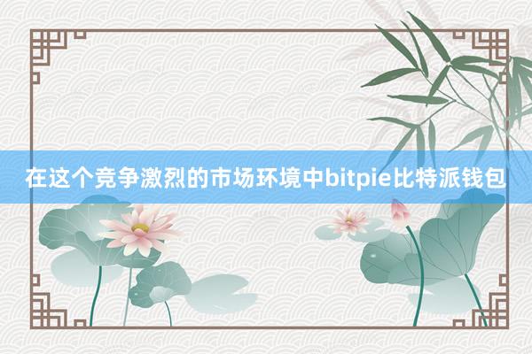 在这个竞争激烈的市场环境中bitpie比特派钱包