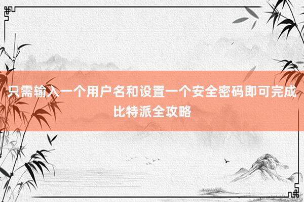 只需输入一个用户名和设置一个安全密码即可完成比特派全攻略