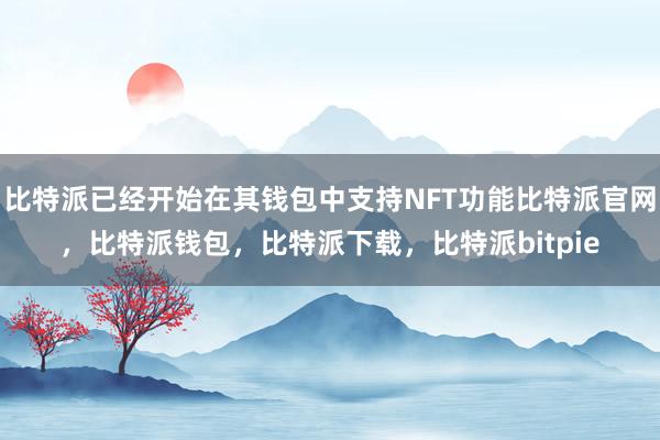 比特派已经开始在其钱包中支持NFT功能比特派官网，比特派钱包，比特派下载，比特派bitpie