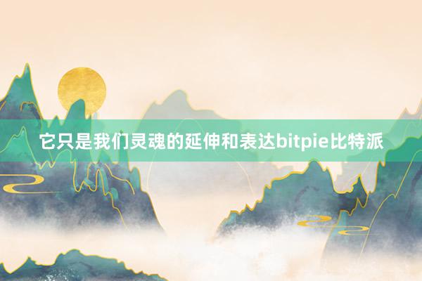 它只是我们灵魂的延伸和表达bitpie比特派