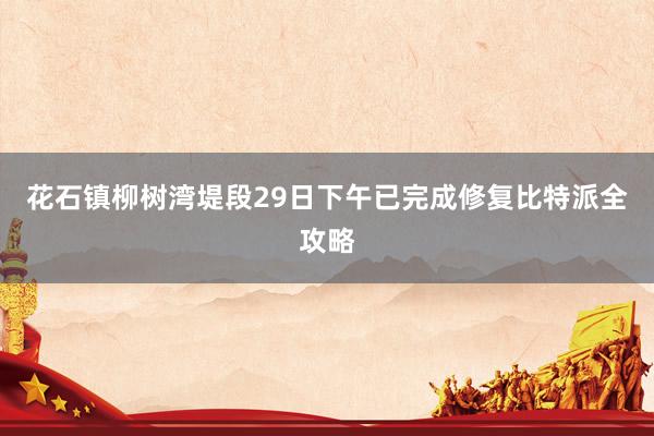 花石镇柳树湾堤段29日下午已完成修复比特派全攻略