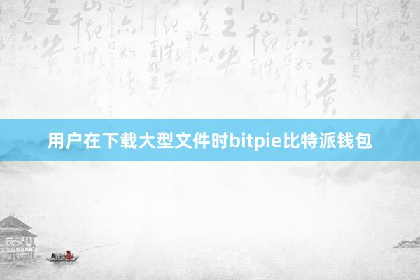 用户在下载大型文件时bitpie比特派钱包