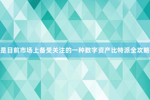 是目前市场上备受关注的一种数字资产比特派全攻略