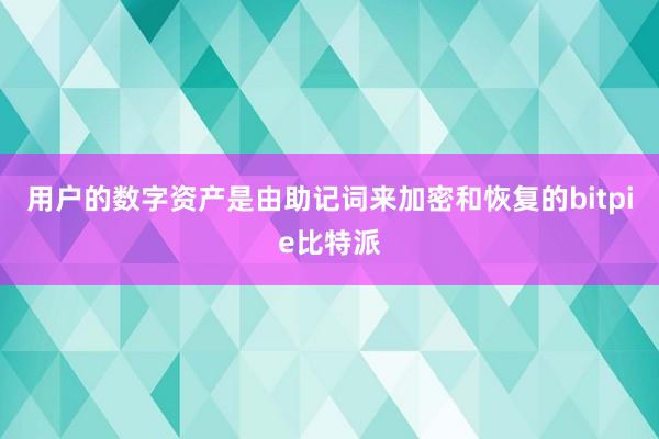 用户的数字资产是由助记词来加密和恢复的bitpie比特派