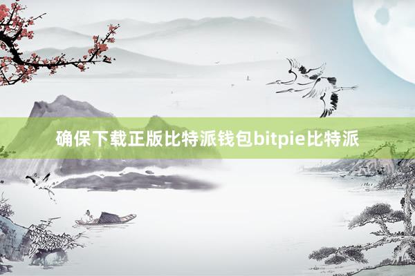 确保下载正版比特派钱包bitpie比特派