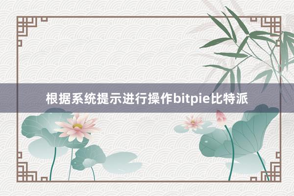 根据系统提示进行操作bitpie比特派