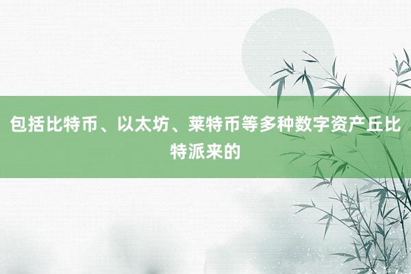 包括比特币、以太坊、莱特币等多种数字资产丘比特派来的