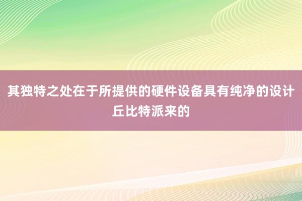 其独特之处在于所提供的硬件设备具有纯净的设计丘比特派来的