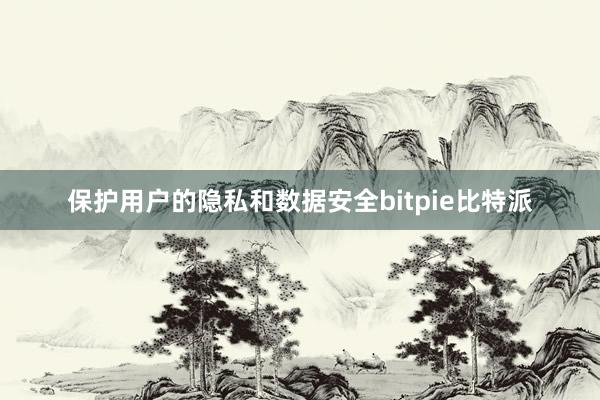 保护用户的隐私和数据安全bitpie比特派