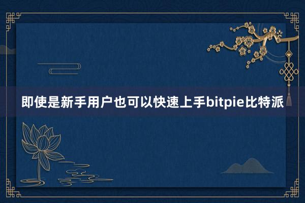 即使是新手用户也可以快速上手bitpie比特派