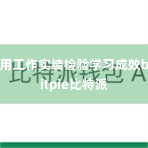 用工作实绩检验学习成效bitpie比特派