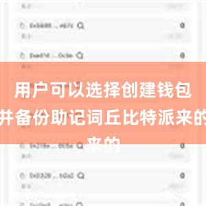 用户可以选择创建钱包并备份助记词丘比特派来的