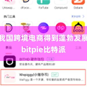 我国跨境电商得到蓬勃发展bitpie比特派