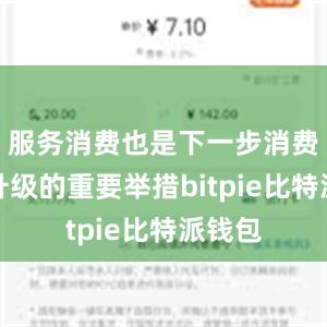 服务消费也是下一步消费扩容升级的重要举措bitpie比特派钱包