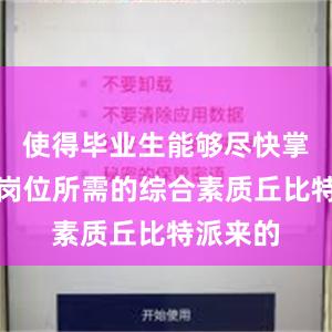 使得毕业生能够尽快掌握工作岗位所需的综合素质丘比特派来的