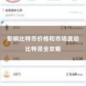 影响比特币价格和市场波动比特派全攻略