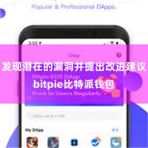 发现潜在的漏洞并提出改进建议bitpie比特派钱包