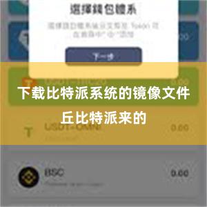 下载比特派系统的镜像文件丘比特派来的