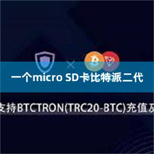 一个micro SD卡比特派二代